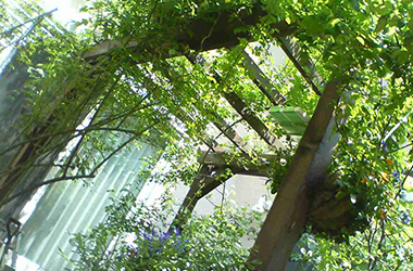 お庭の手入れ・外構